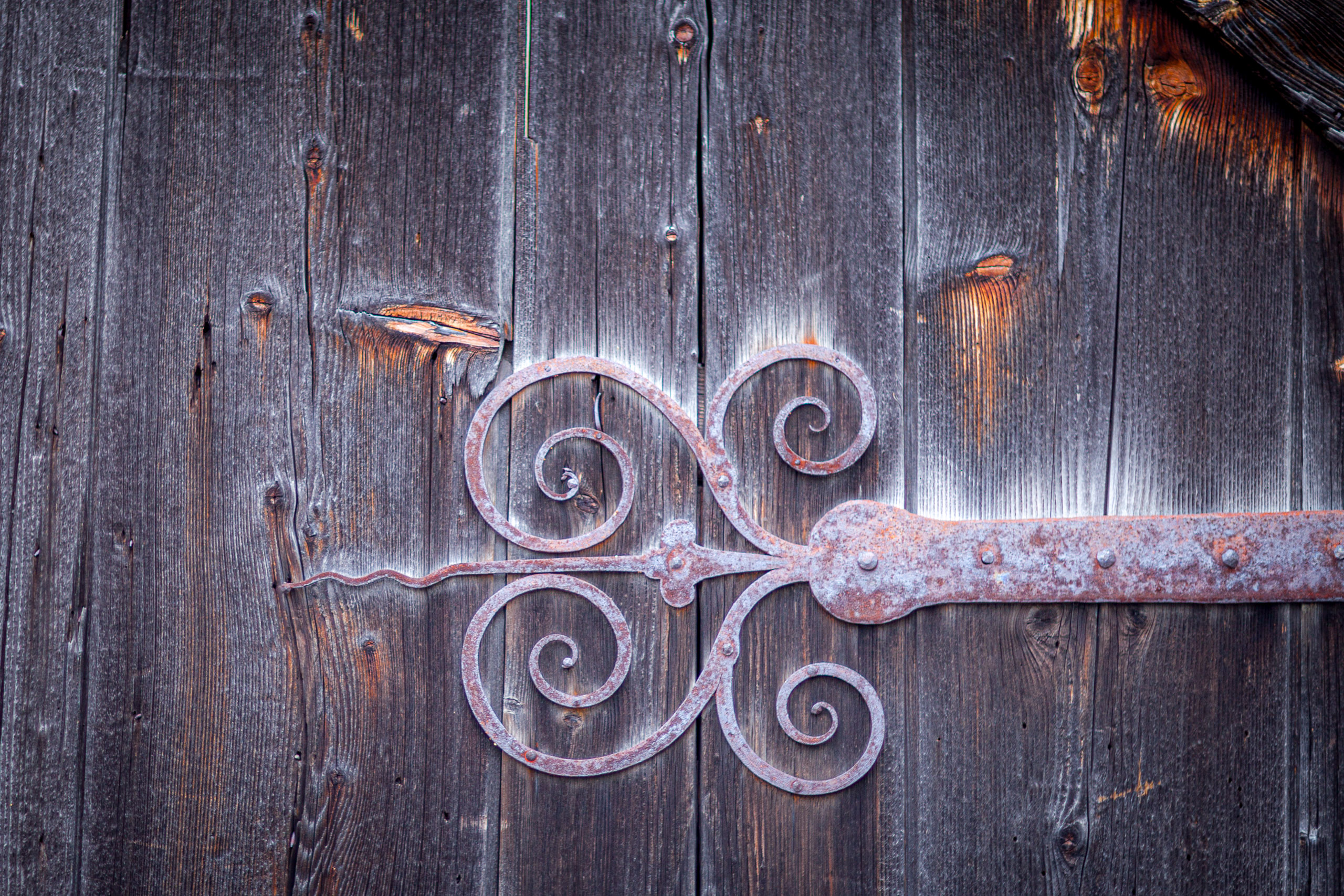 20120225074052 IMG 3371